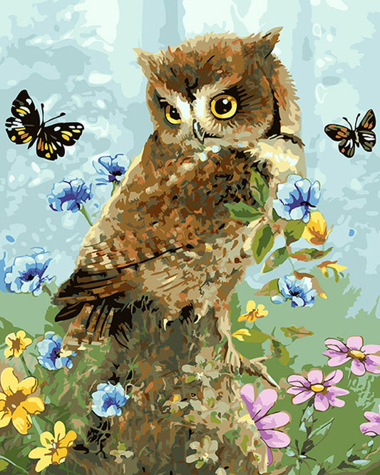 Butterfly And Owl