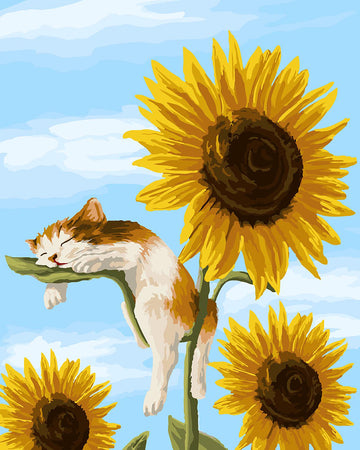 Cat Sleeping On A Sunflower