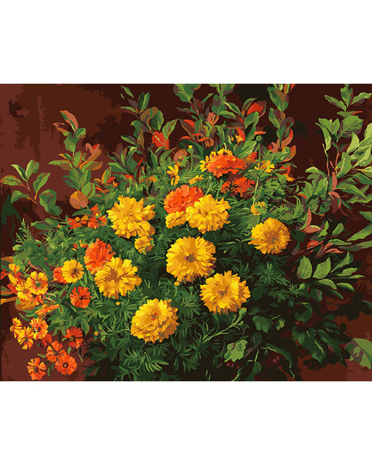 Marigold Flowers