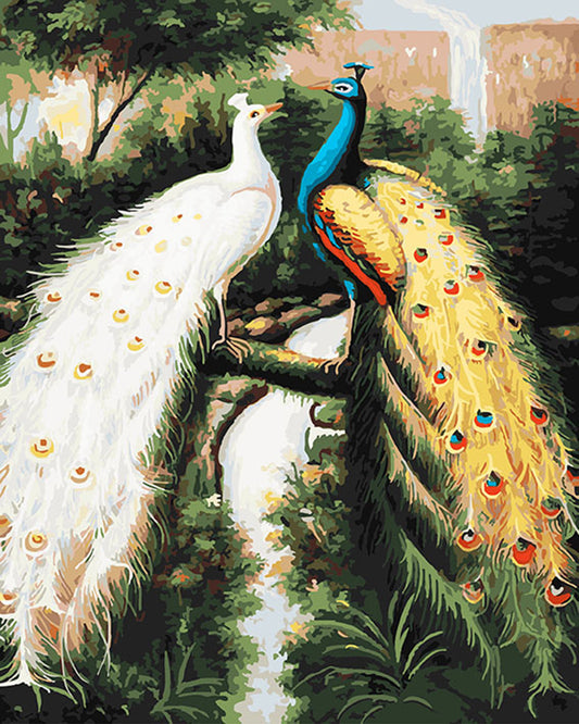 Peacock In The Jungle