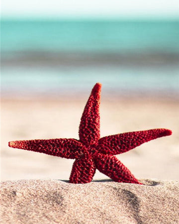 Red Starfish - Diamond Painting