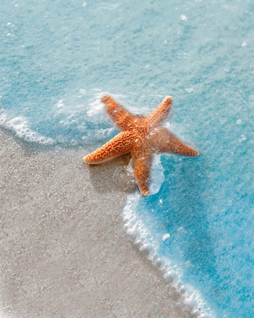 Starfish On The Beach - Diamond Painting