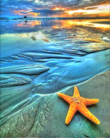 Starfish - Diamond Painting