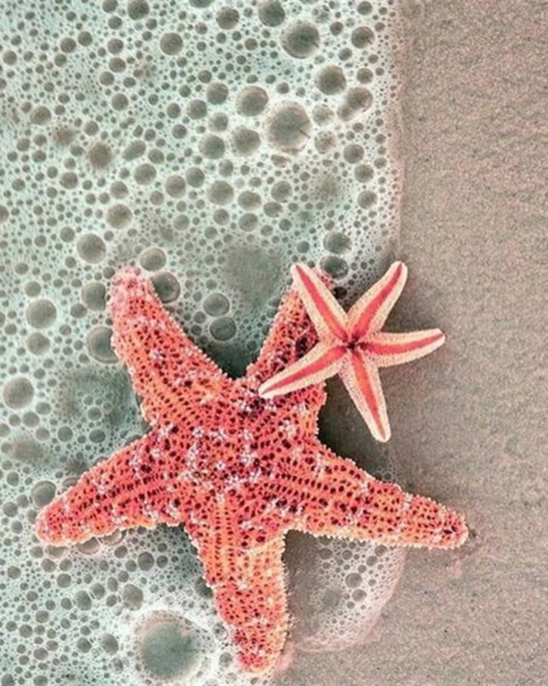 Starfishes - Diamond Painting