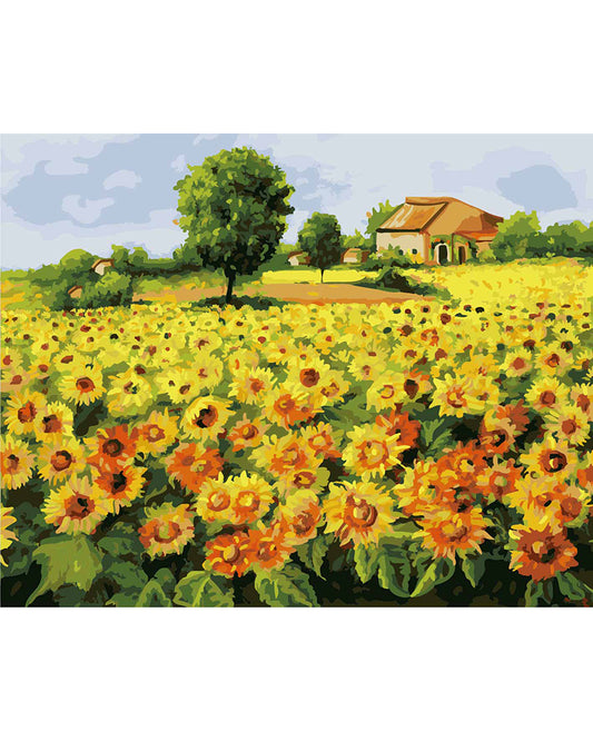 Sunflower Field I