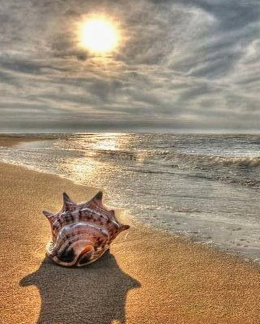 Sunrise Seaside Conch - Diamond Painting