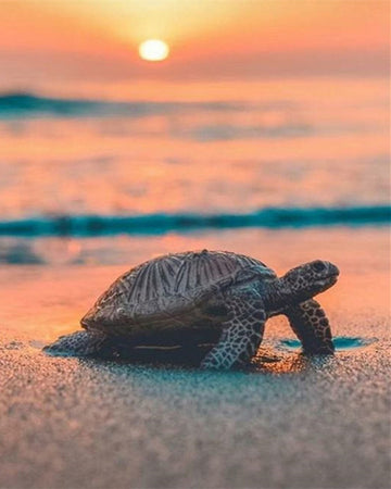 Sunrise Seaside Turtle - Diamond Painting