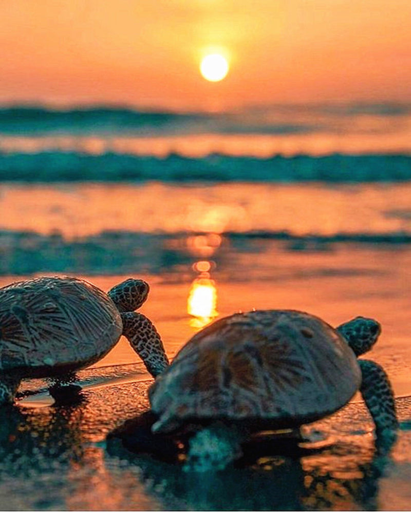 Sunset Seaside Turtles - Diamond Painting