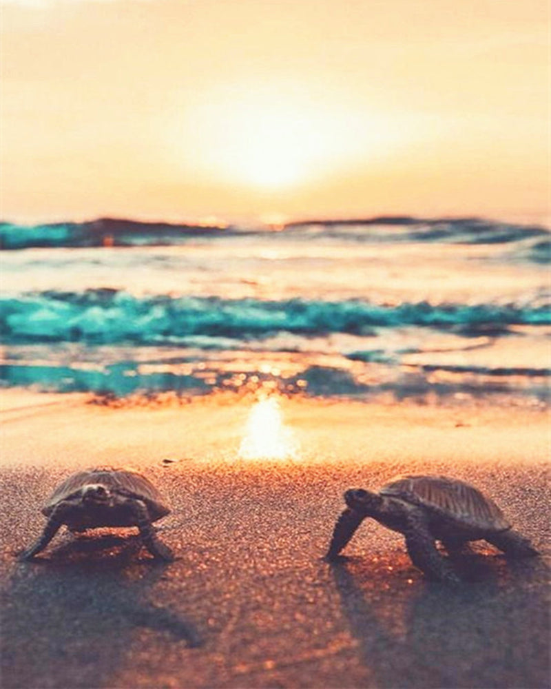 Turtles Sunset - Diamond Painting