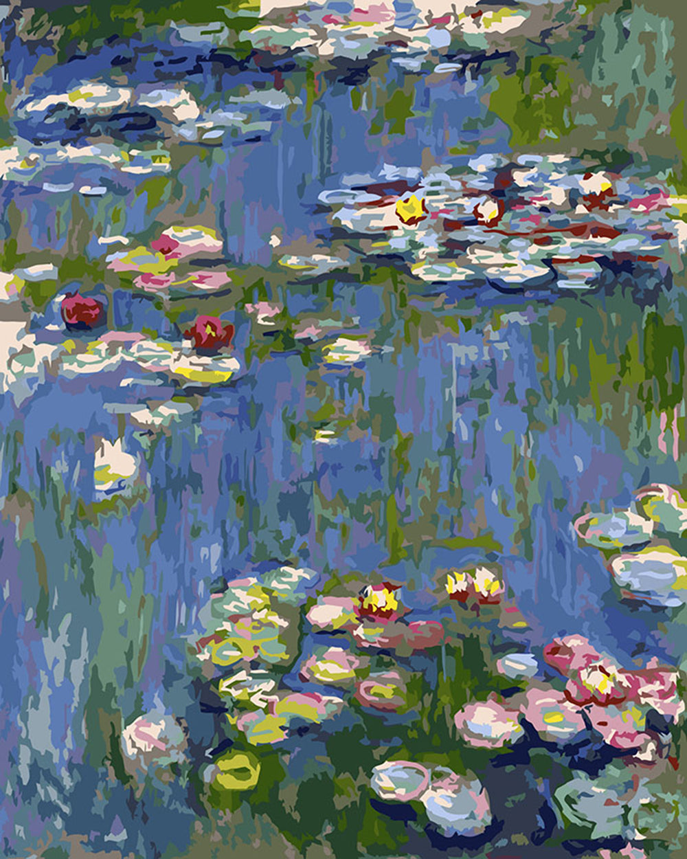 Water Lilies