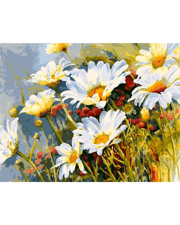 Wild Daisies