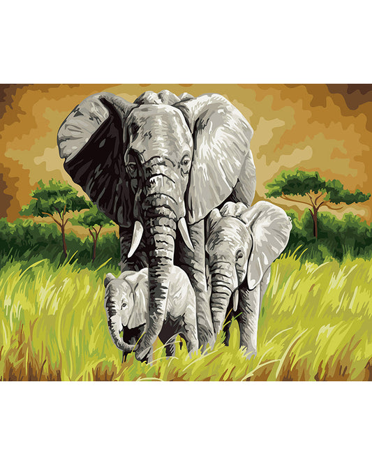 African Elephants