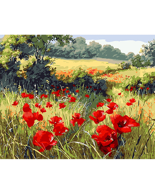 Poppy Flowers